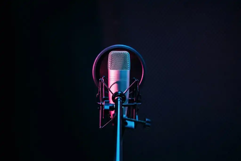 best condenser microphone