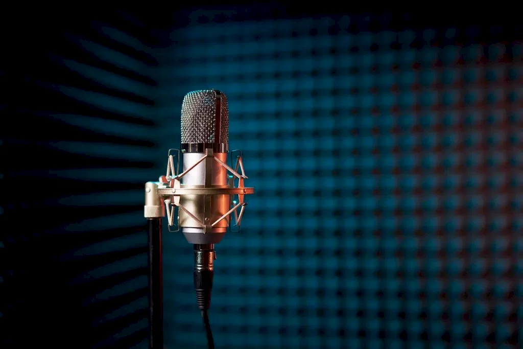 Condenser mic for recording